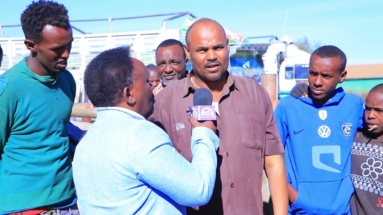 Waa Sidee Dhaq'dhaaqa Sayladda Xoolaha Ee Degmada Wajaale.