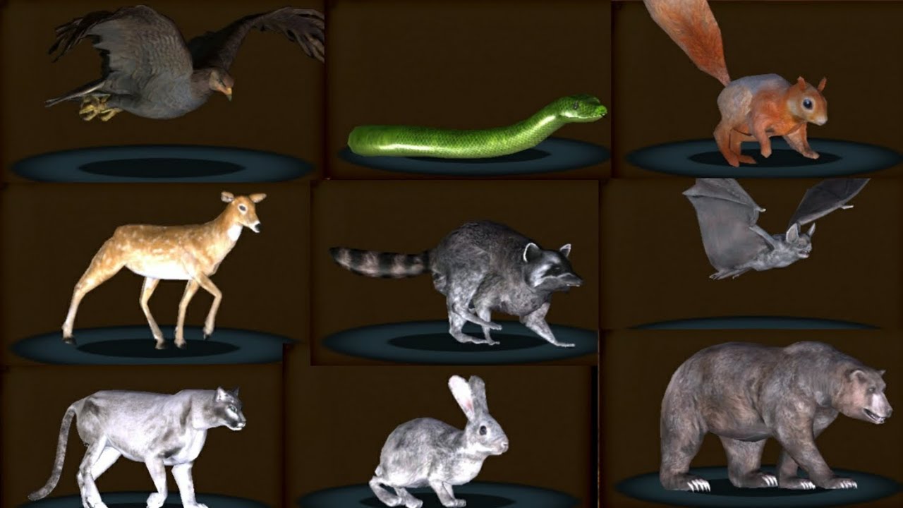 All skins animals in ultimate forest simulator 1 #ultimateforestsimulator1 #allskin