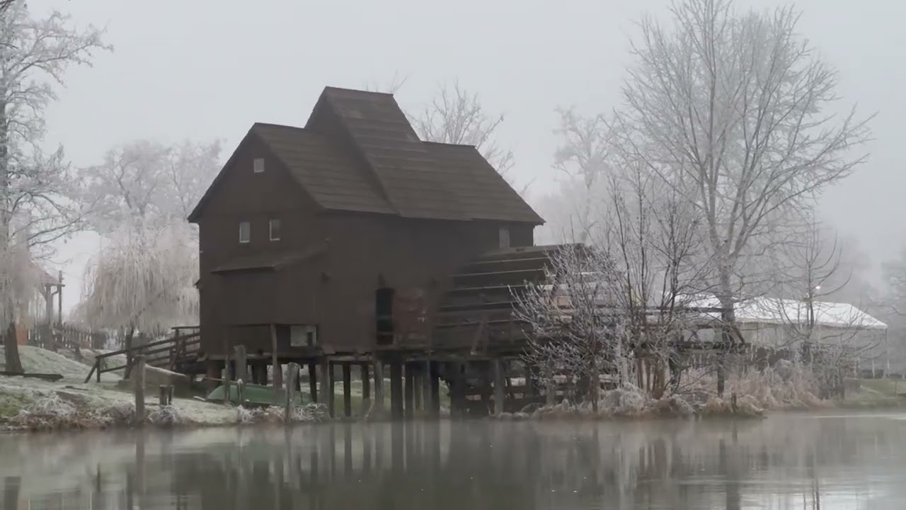 Winter nature relax video - Jelka - Slovakia