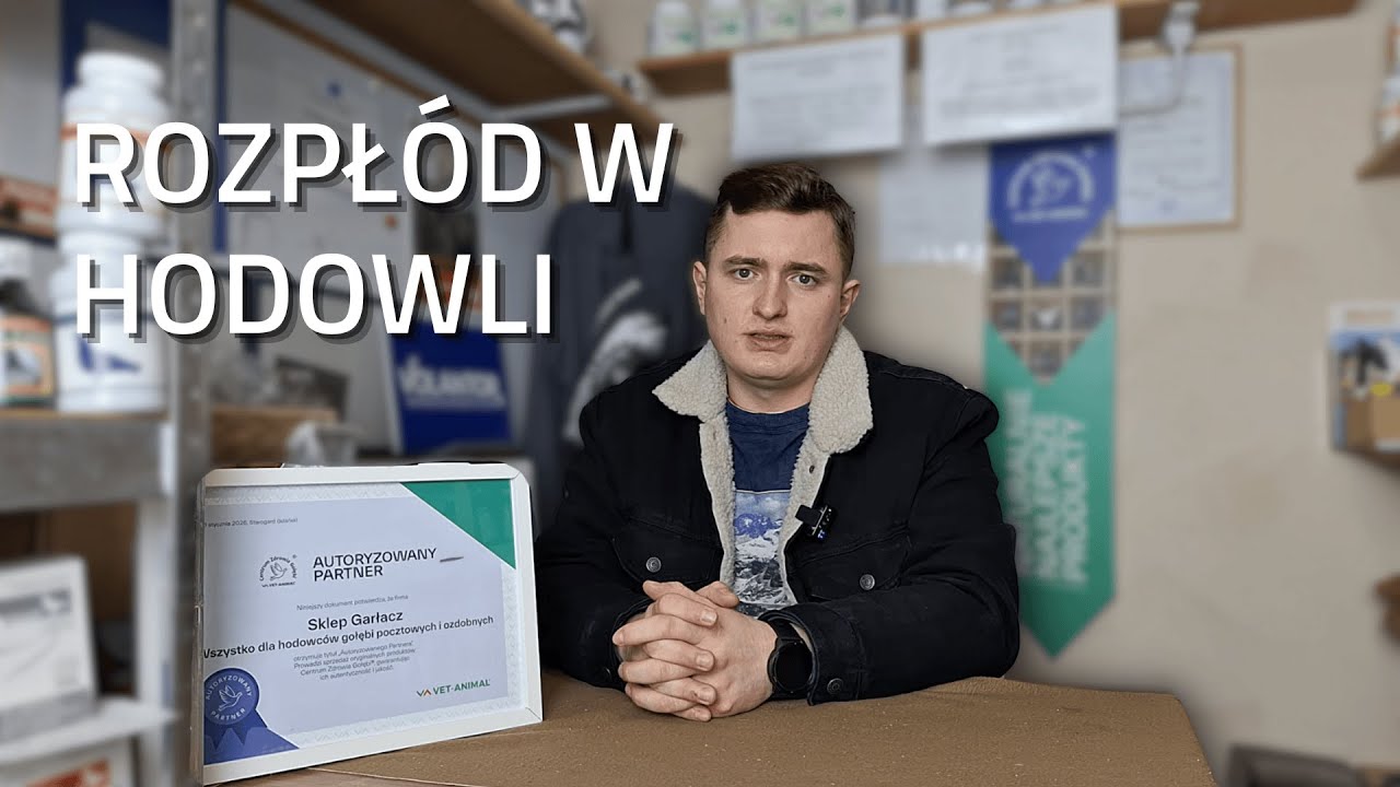 DOBRY ROZPŁÓD - CO ZROBIĆ?