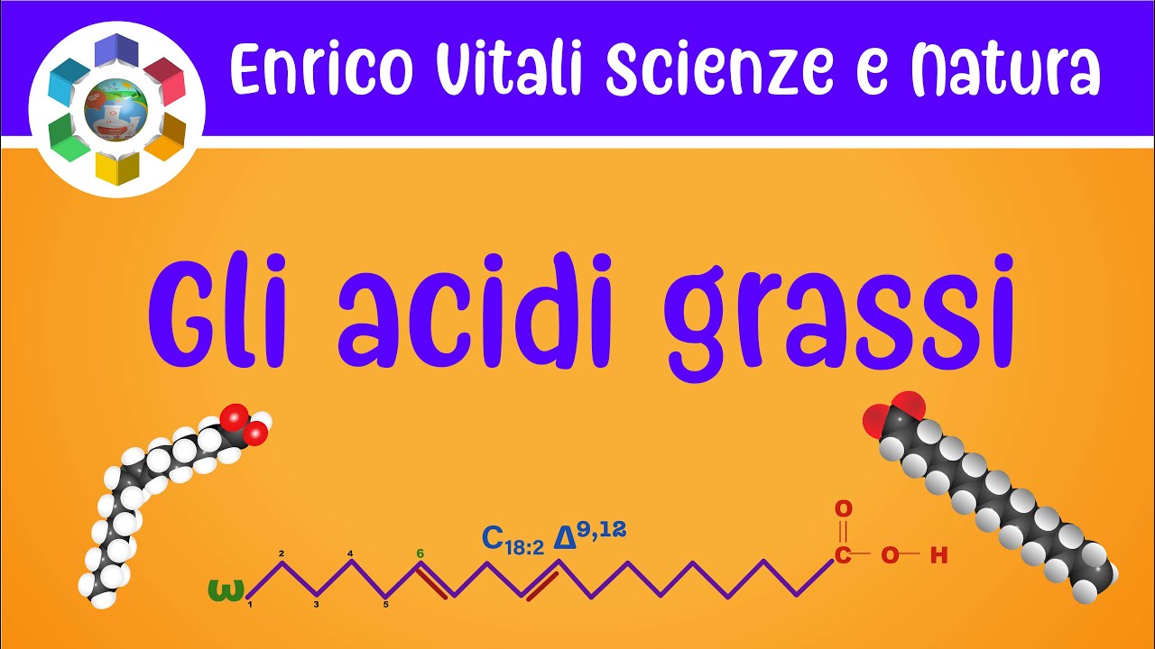 Gli acidi grassi saturi ed insaturi.Serie omega.