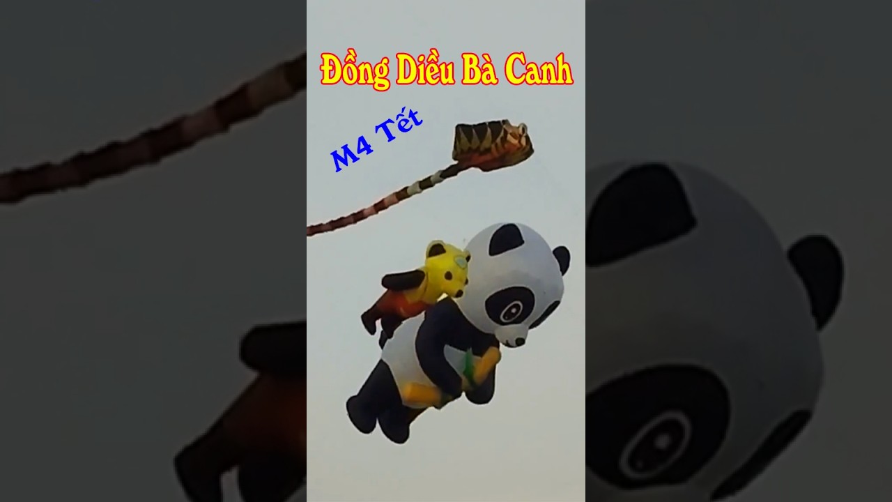 Mồng 4 Tết Xem Thả Diều Tại Đồng Diều Bà Canh