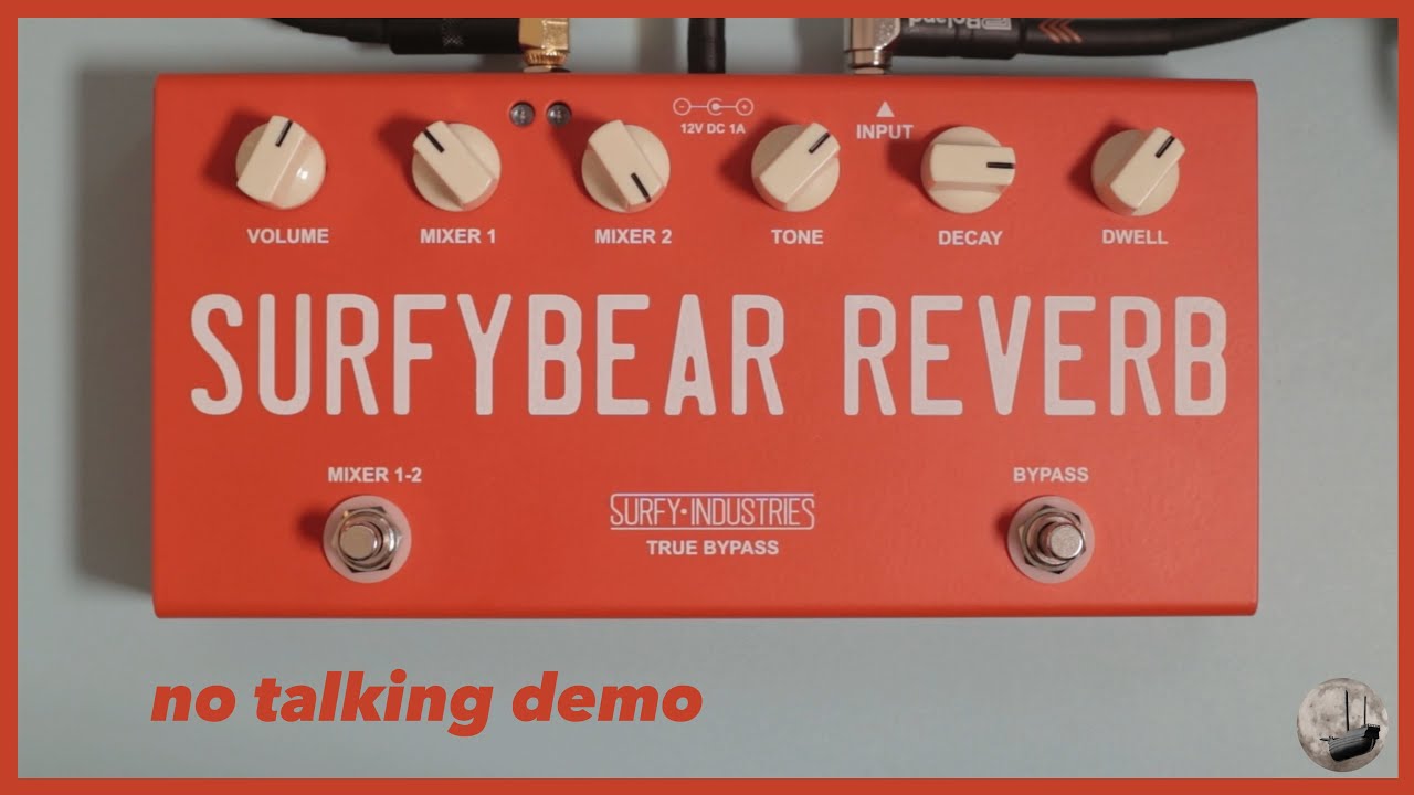 Surfy Industries - Surfybear Reverb Compact - No Talking Demo