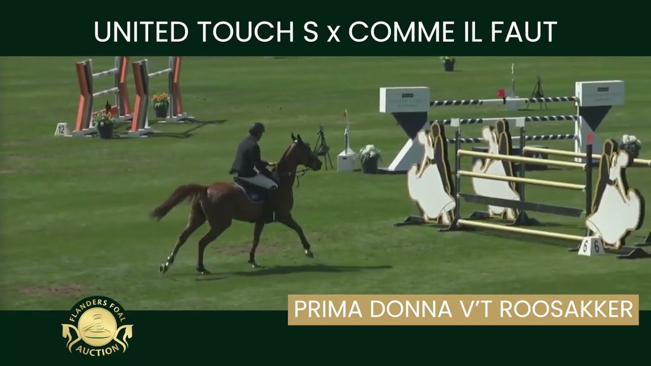 Embryo 16 United Touch S x Prima Donna van 't Roosakker