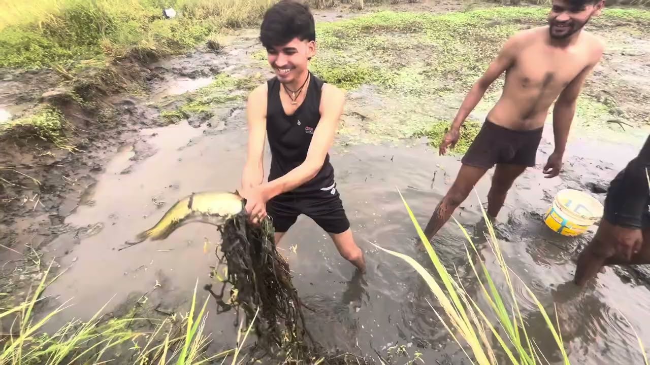 ￼ खेतों मैं मछली पकड़ने का सही तरीका #amarbhaiya #comedy #comedy #viralvideo 