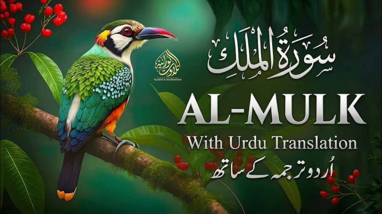 Surah Mulk  Full With Urdu Translation | Heart Touching Tilawat | قاری منصور غزنوی EP|017