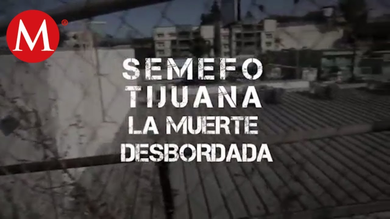 SEMEFO Tijuana la muerte desbordada | Especiales Milenio