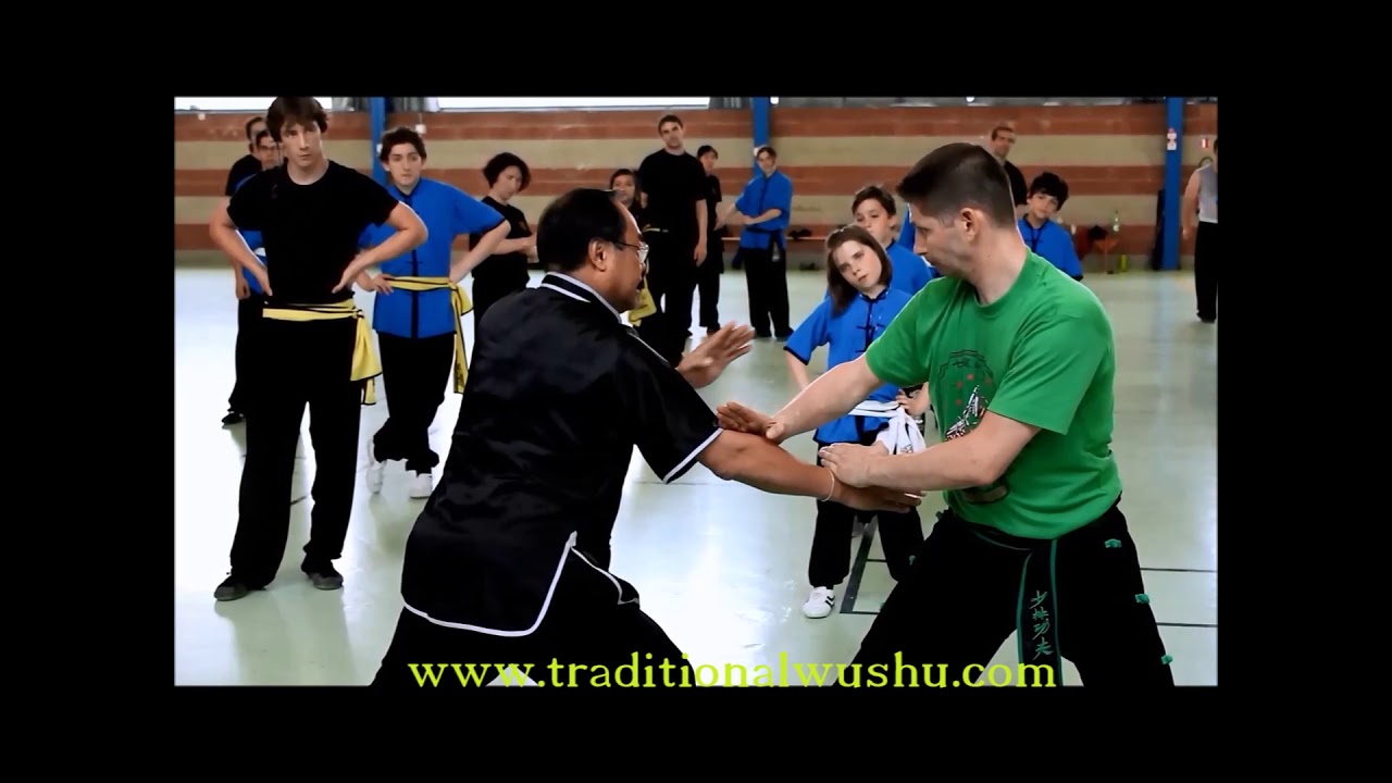 Seven Star Mantis 12 Keyword Formula Grandmaster Lee Kam Wing