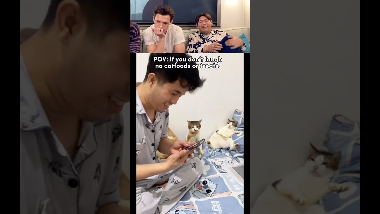 Tom Holland React Viral Videos Part 24 #tomholland #funny #trynottolaugh #reaction