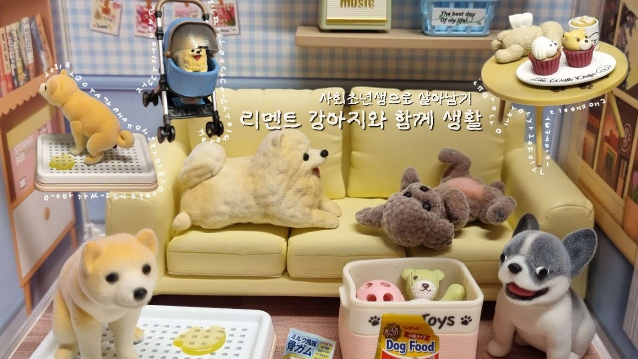 리멘트 강아지와 함께 생활(사회초년생으로 살아남기)