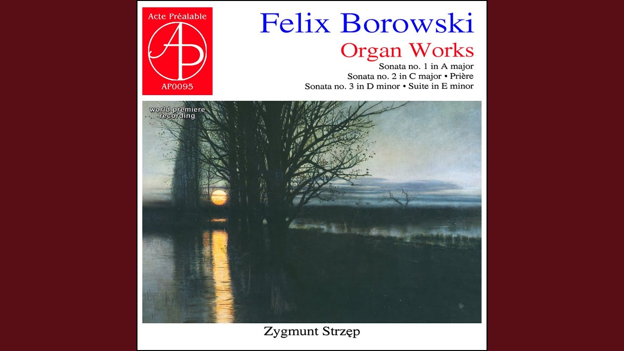 Sonata No. 3 in D Minor: I, Allegro con Spirito