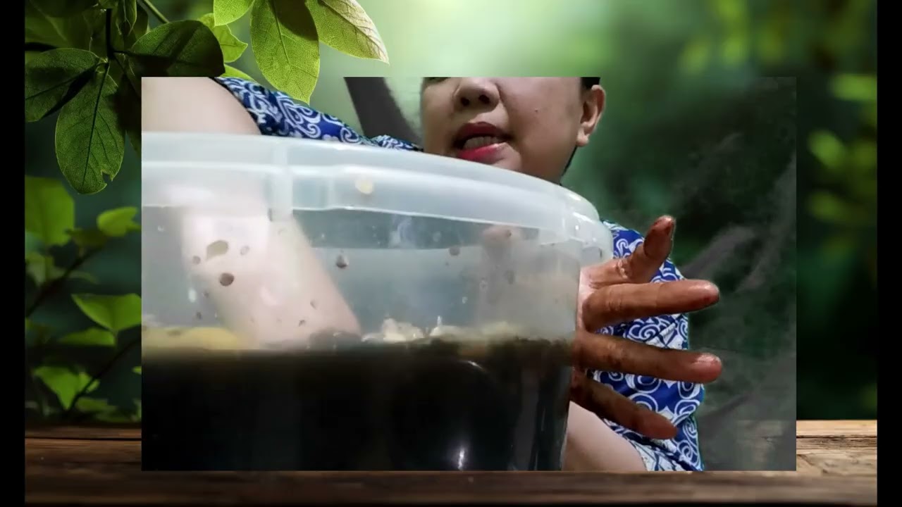 VIDEO PEMBUATAN Eco Enzyme