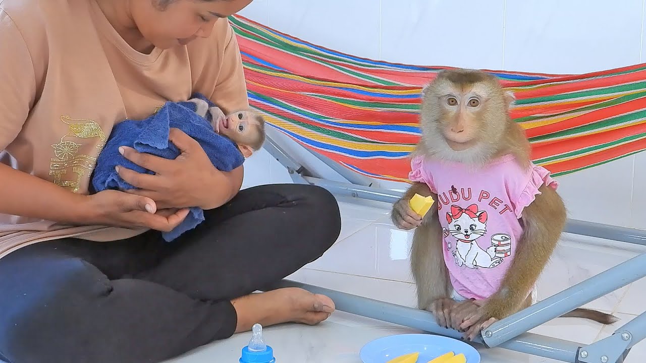Mommy Luna Enjoys Mango While Daughter Valen Want Milk