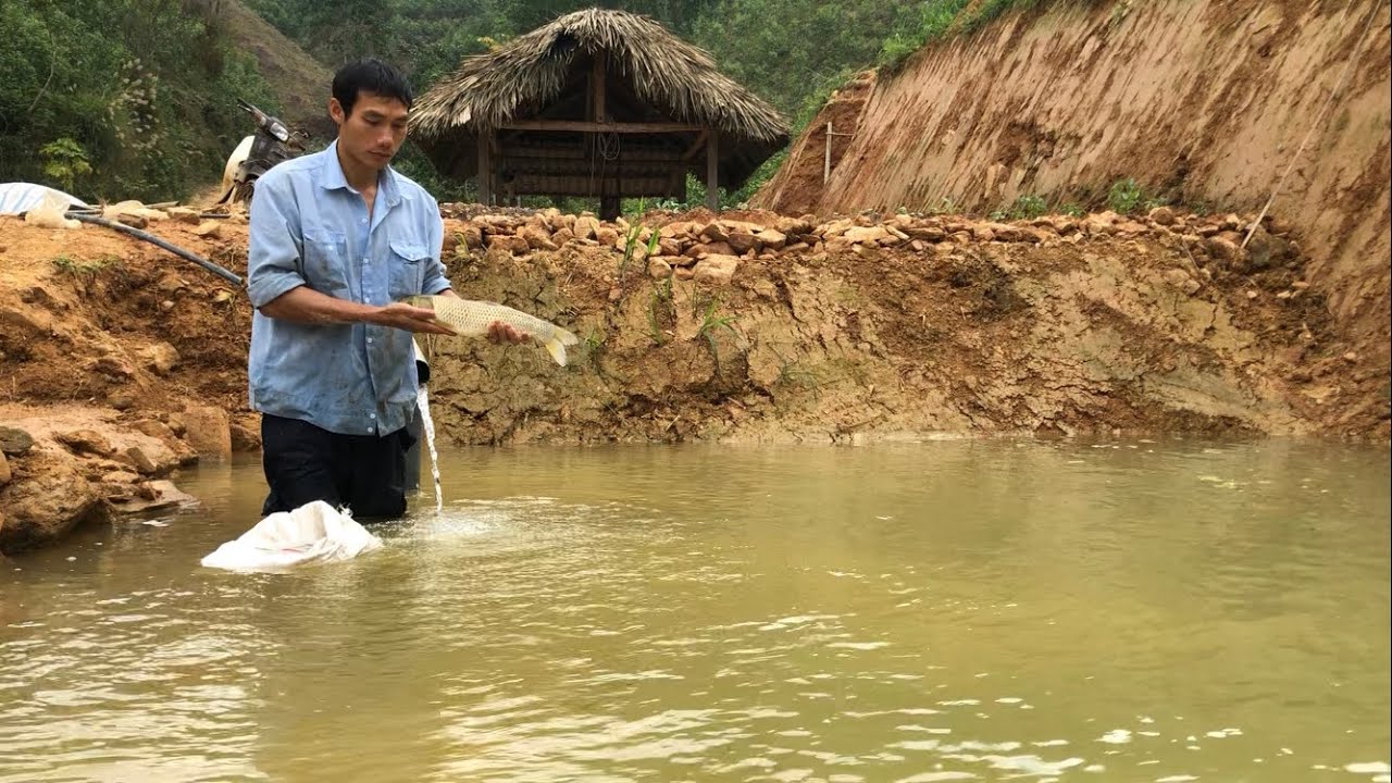 Bring water to the pond, raise fish, and grow vegetables