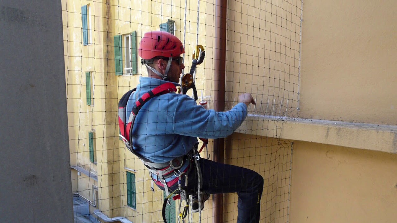 Allontanamento piccioni reti antintrusione