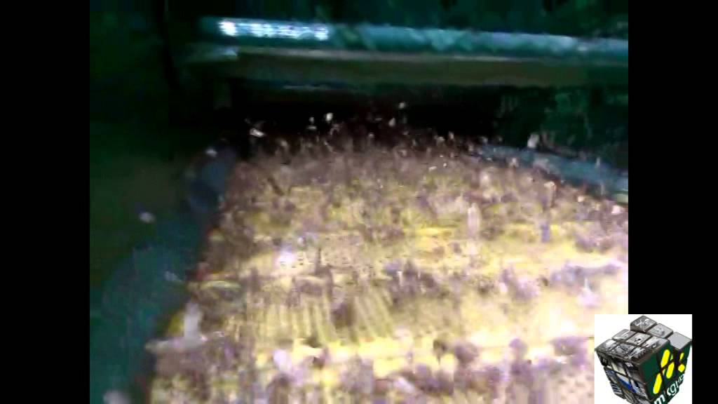 SFS265 2 Deck Waste Screen c/w Flip Flow Screen