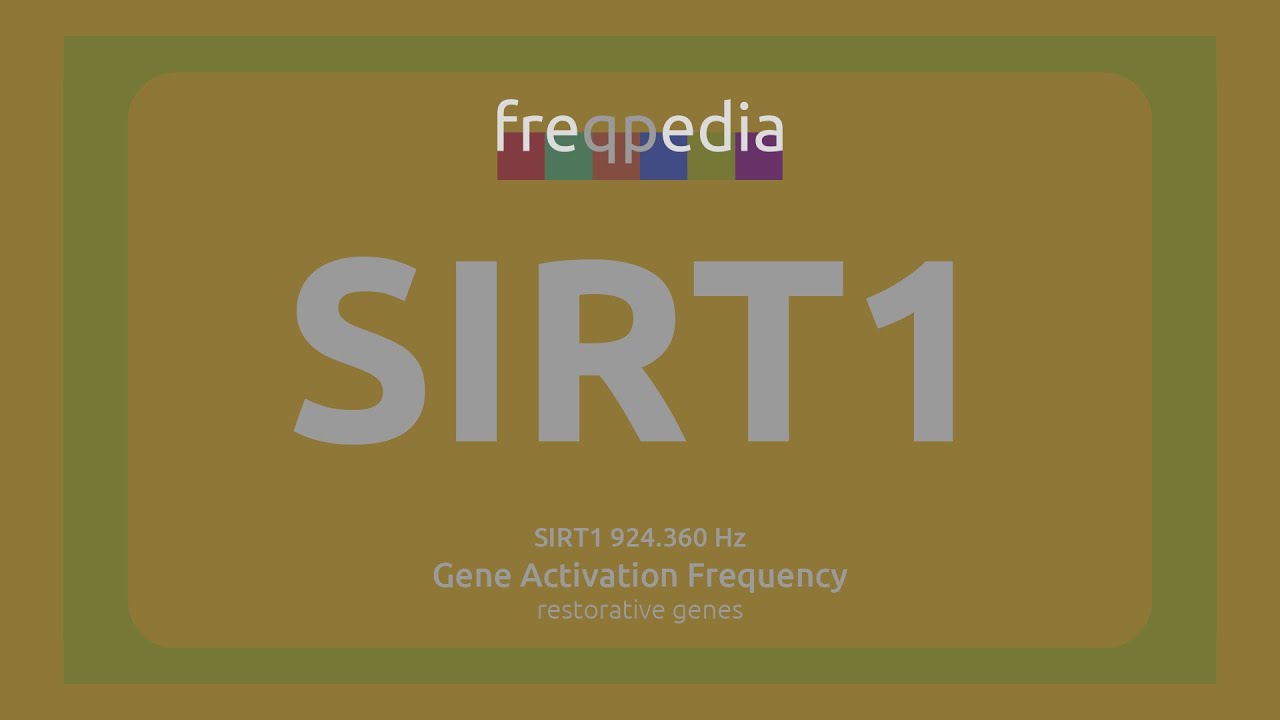 SIRT1 (healthy aging process) Gene Activation Frequency