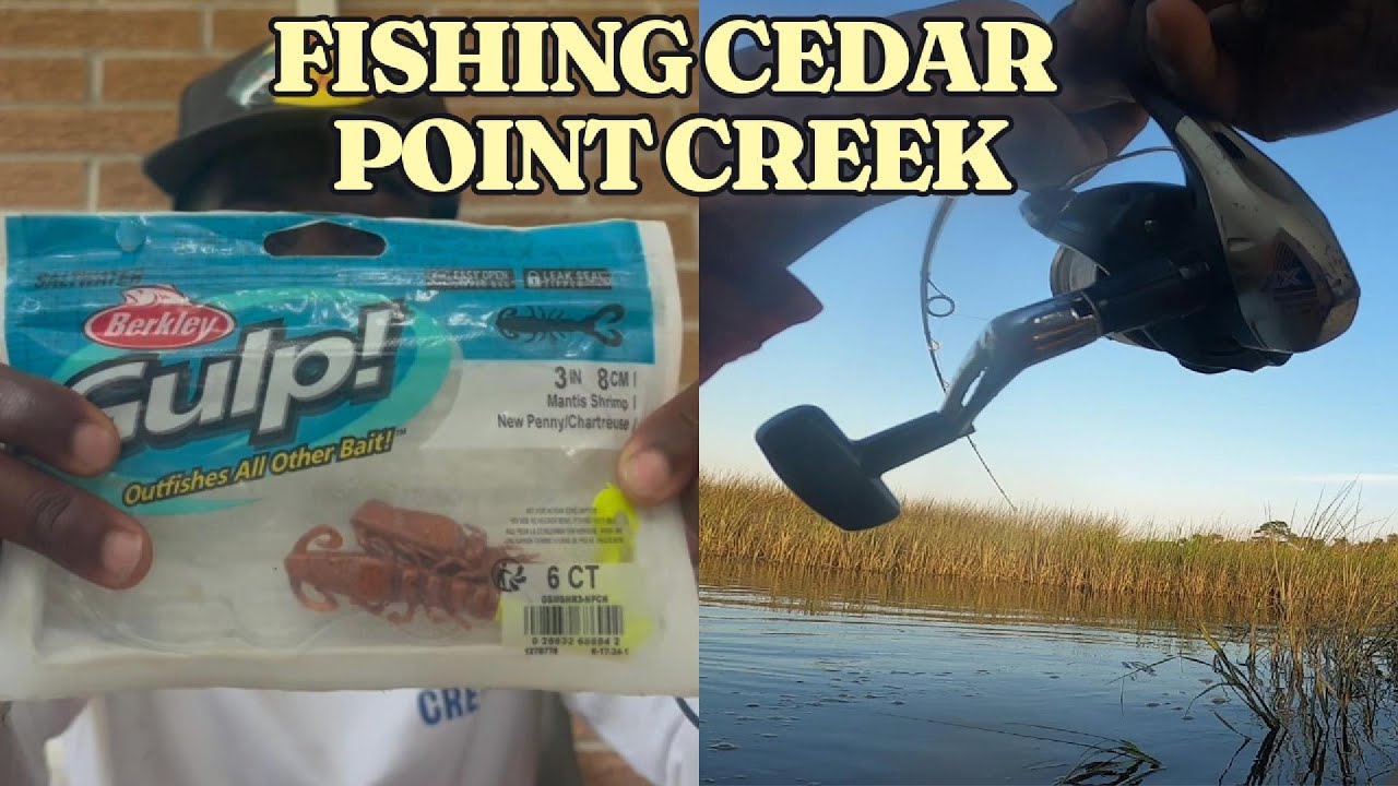 Fishing Cedar Point Creek Jacksonville, Fl