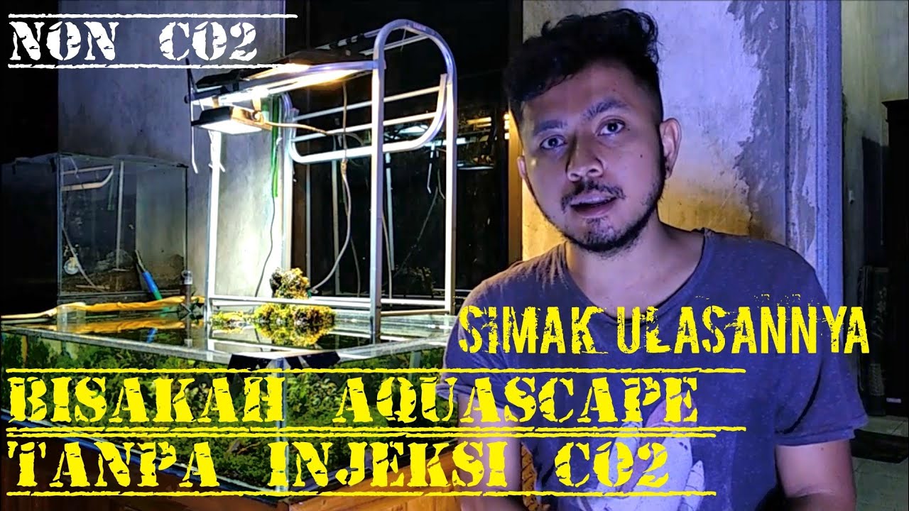 Bisakah Aquascape Tanpa Co2