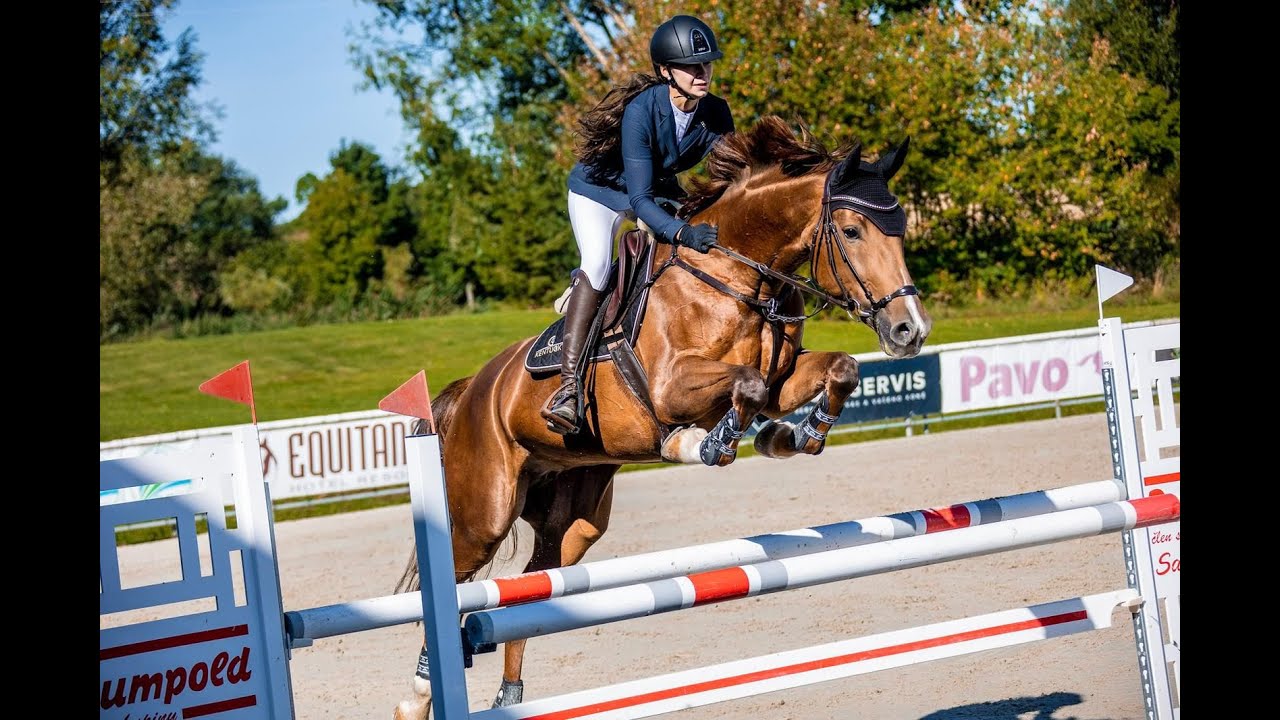 11yo amateur mare 130 level 