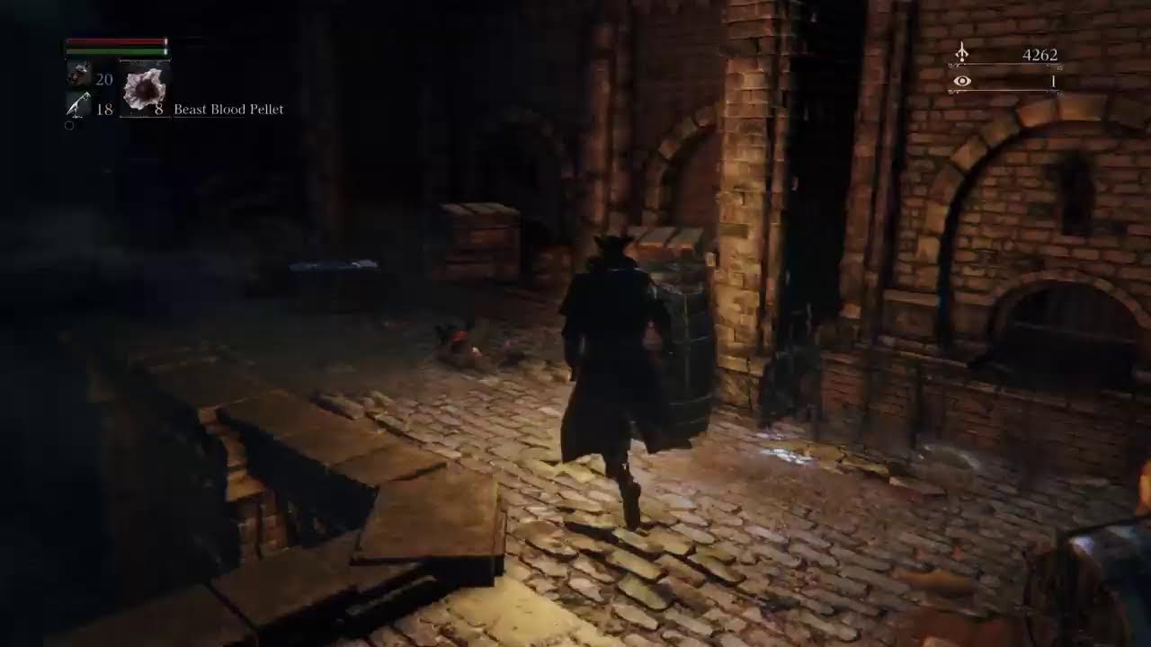 Bloodborne No Git Gud Run part 6