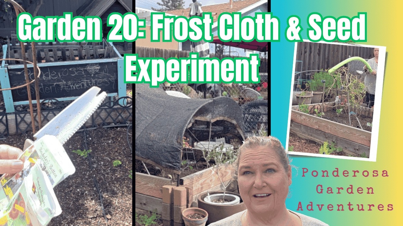 Garden 20: Frost Cloth & Seed Experiment
