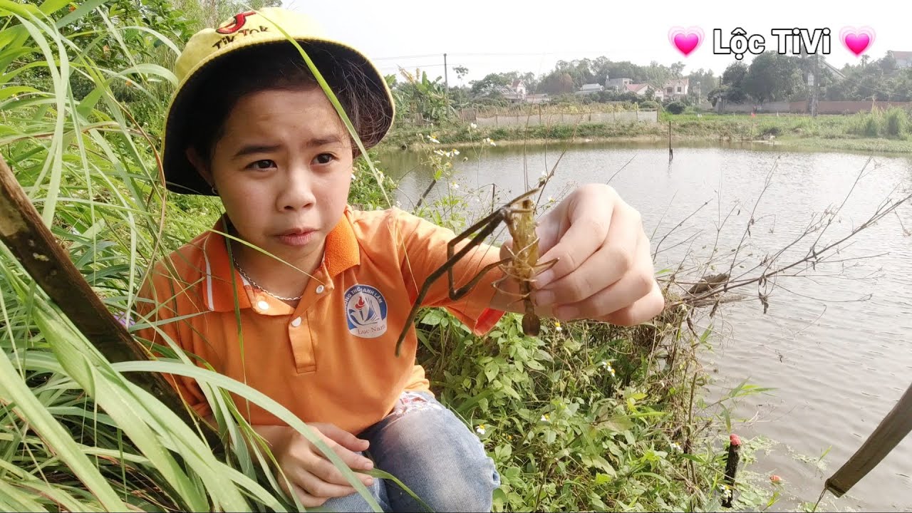 ĐI BẮT T&Ocirc;M | Lộc TiVi