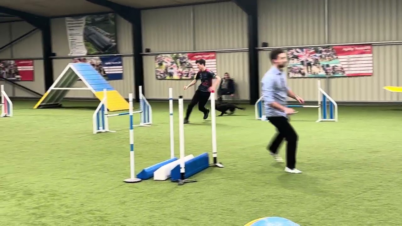 Will & Brave - Team GB tryout Agility Day 2 (willbacchus.com)