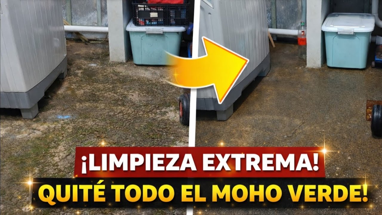 Cómo quitar el moho verde del piso SIN tallar | con 1 solo producto