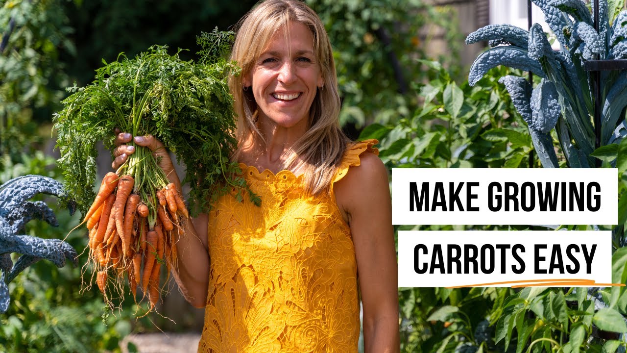 How to Plant Carrot Seeds in Winter—Gardening in Five Minutes