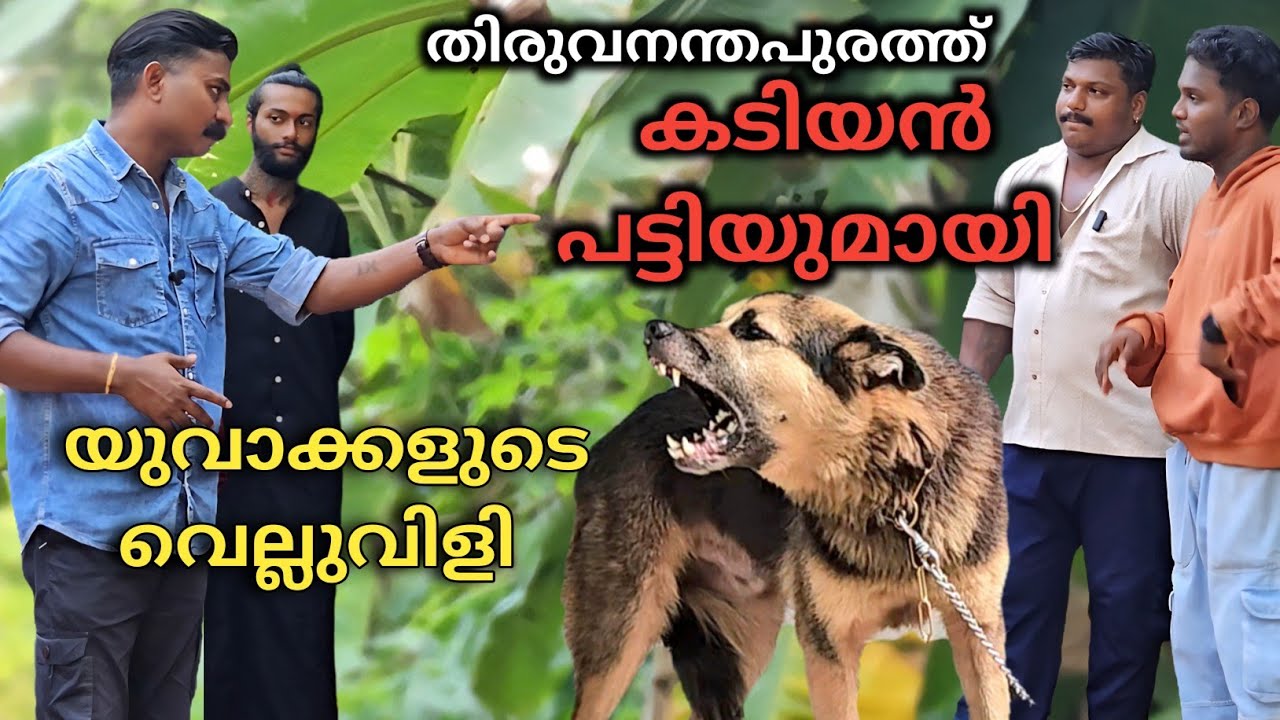 ഏത് നിമിഷവും കടിച്ചു കീറാൻ നായ.. അവസാനം അത് സംഭവിച്ചു.. Dog challenge