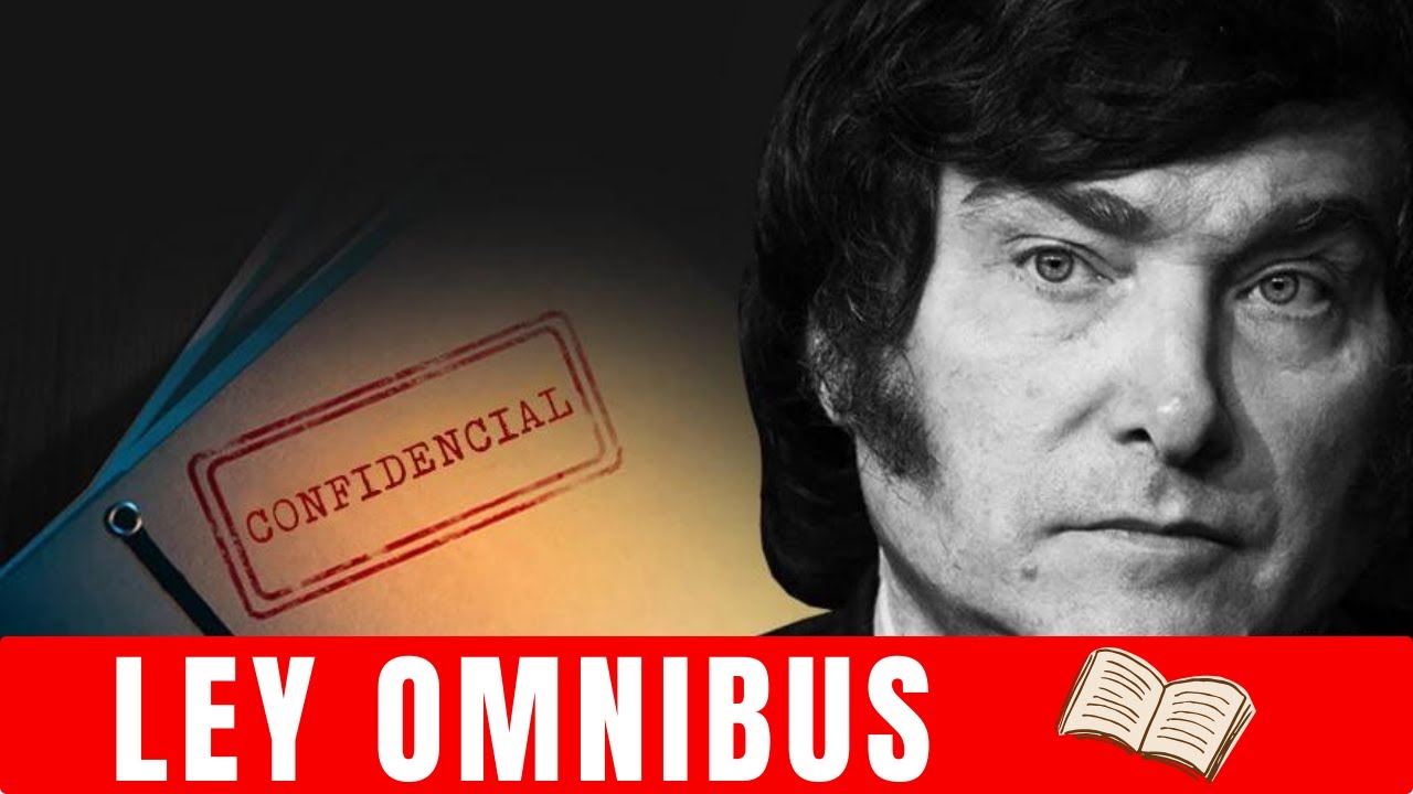 EXPLICACIÓN SIMPLE de la LEY ÓMNIBUS de MILEI que se APROBÓ en el Congreso de Argentina
