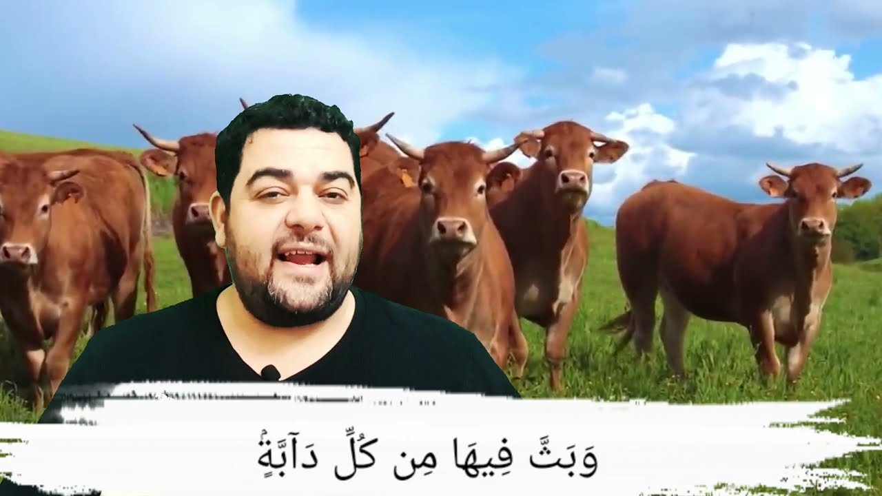 تفسير سورة البقرة ١٦٤: إن في خلق السماوات والأرض واختلاف الليل والنهار والفلك التي تجري في البحر ..