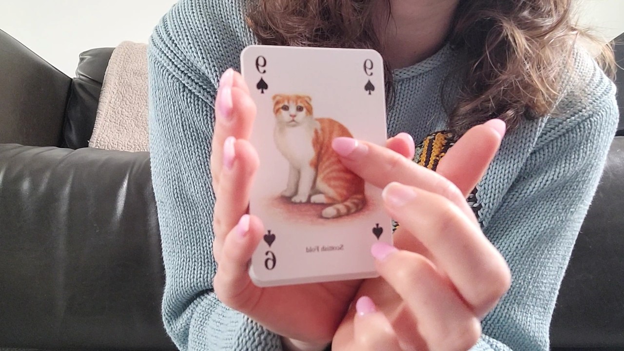 Cat deck of cards ASMR ♠️🐈