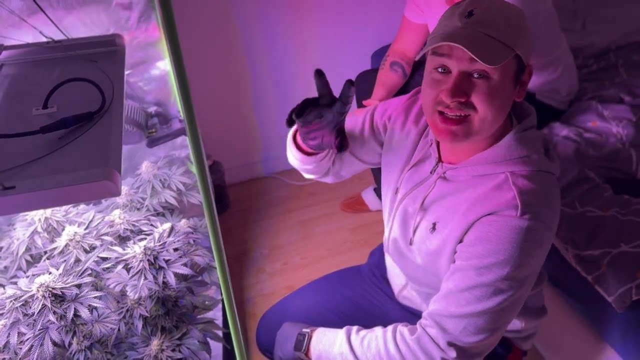 300Gramm mit 300W - Günstiges Setup Große Leistung