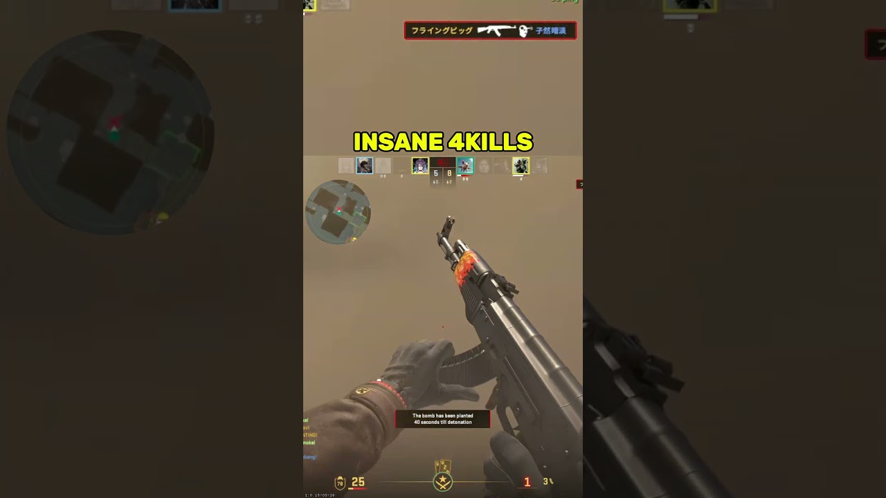 INSANE 4 KILL