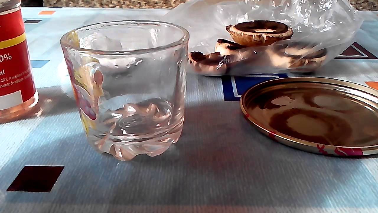 Как снять и получить споры грибов Шампиньона для получения Мицелия. Споровая взвесь Шампиньона