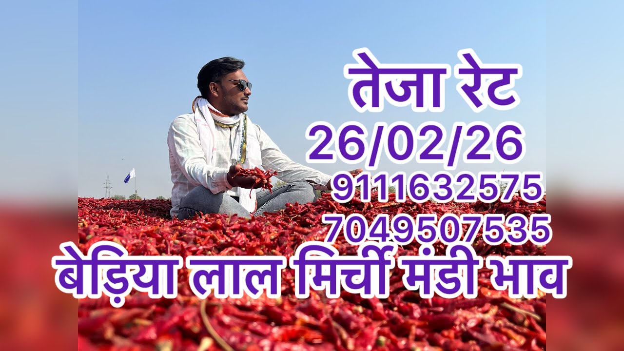 बैडिया मिर्ची मंडी भाव 26/02/26 सबसे बड़ी मिर्ची मंडी भाव विश्व प्रसिद्ध मिर्ची मंडी 7240925806
