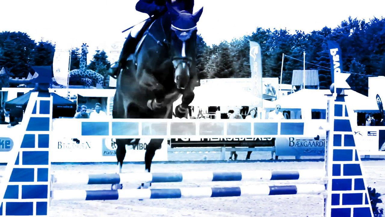 Come My Way || Equestrian Mep || P7