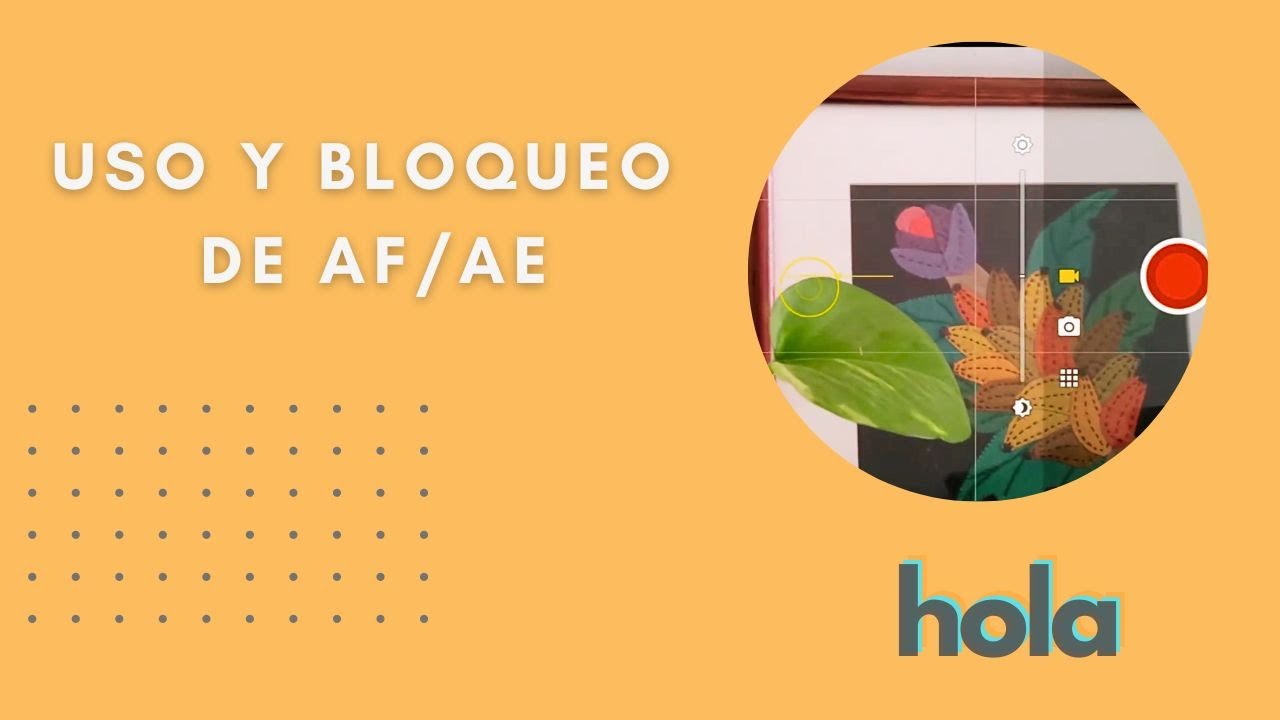 Uso y bloqueo de AF/AE - Tutorial Video con Celular