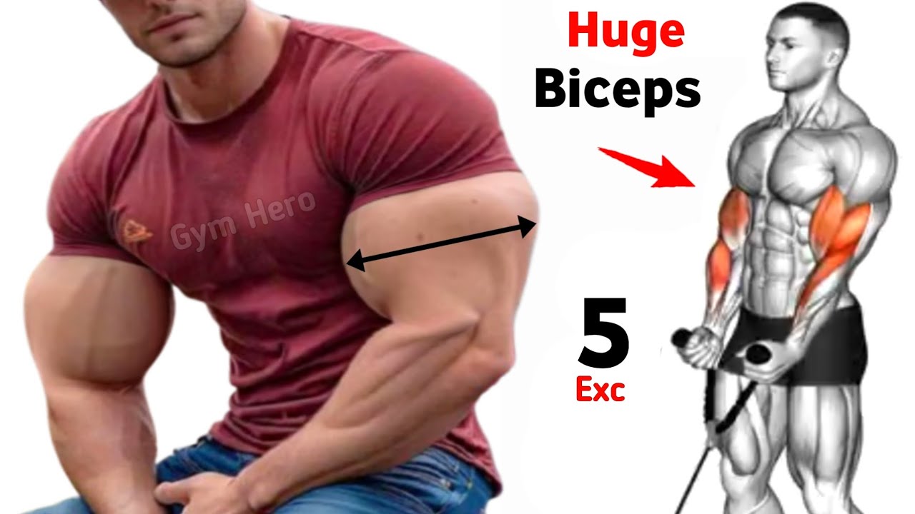 5 Best Biceps Exercises for Bigger & Thicker Arms