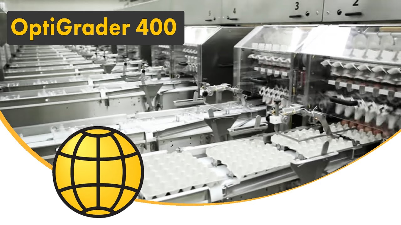 OptiGrader 400 – High-Capacity Egg Grading with Unmatched Precision - Egg Grader | SANOVO