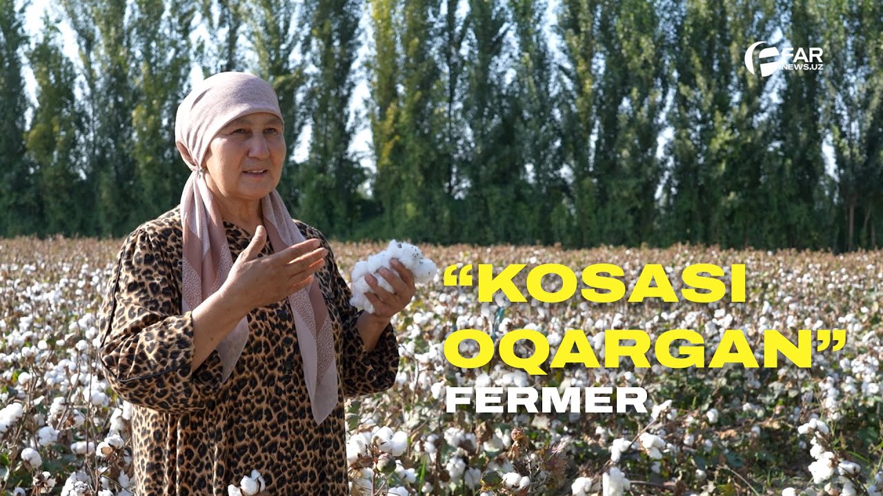 “Kosasi oqargan” fermer