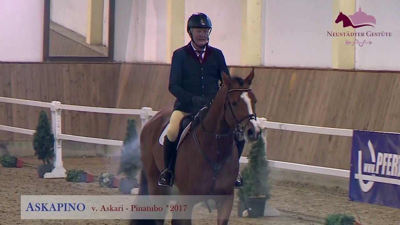 Askapino v. Askari - Pinatubo - Görlitz/T.