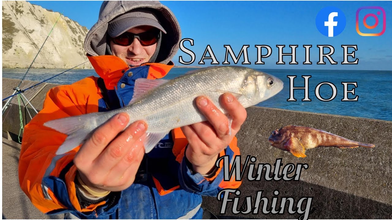 Fishing Samphire Hoe:  Winter Species Hunt