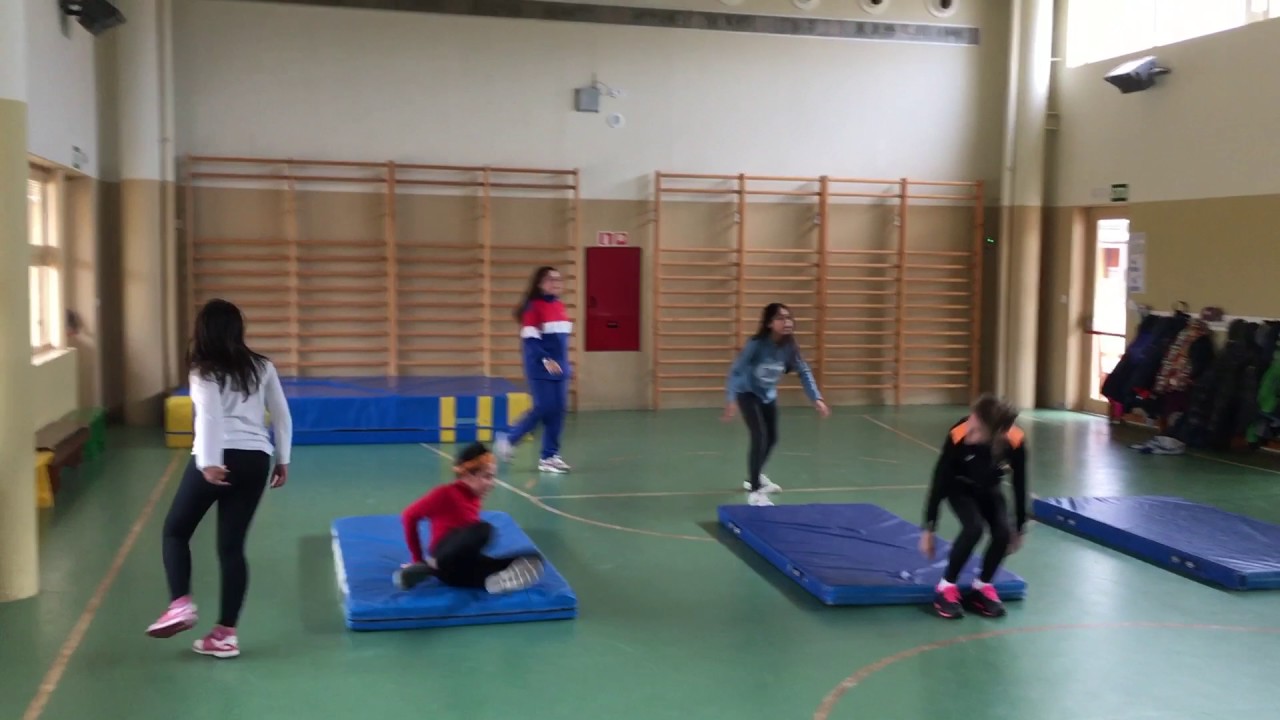 Activitats gimnastiques