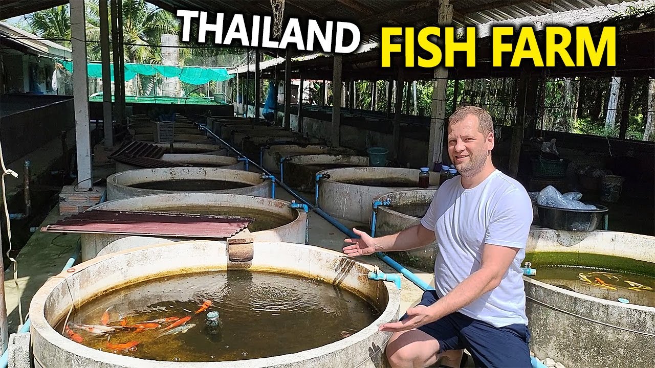 FISH FARM Tour In Thailand!
