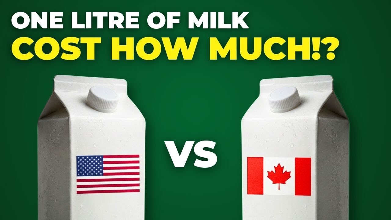 2026 Milk Prices Compared Canada vs  USA: Who&rsquo;s Paying More?