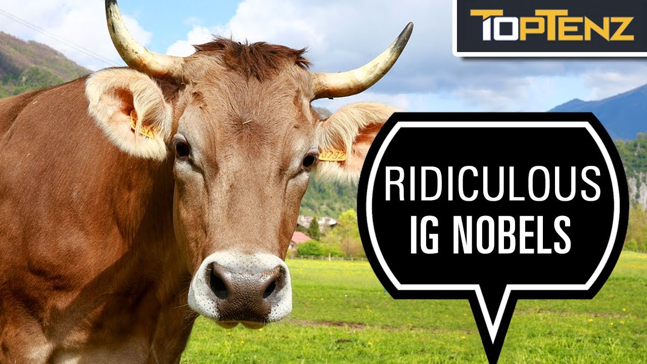 10 of the Most Ridiculous Ig Nobel Prizes Ever Awarded