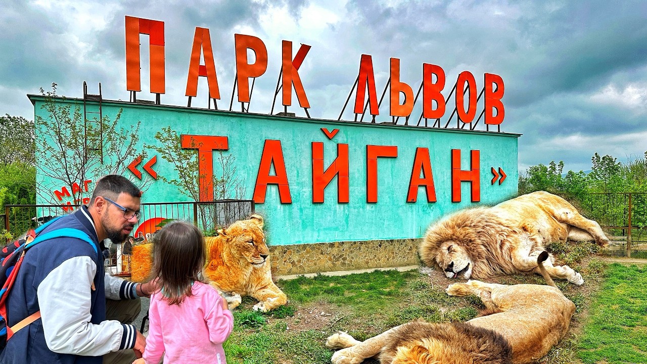 Вся правда про сафари-парк Тайган! Львы очень близко. Ушли все мокрые. Белогорск Крым 2025